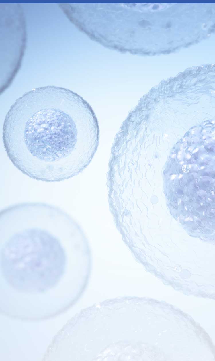 Close-up view of blue cellular structures floating in a bright blue background